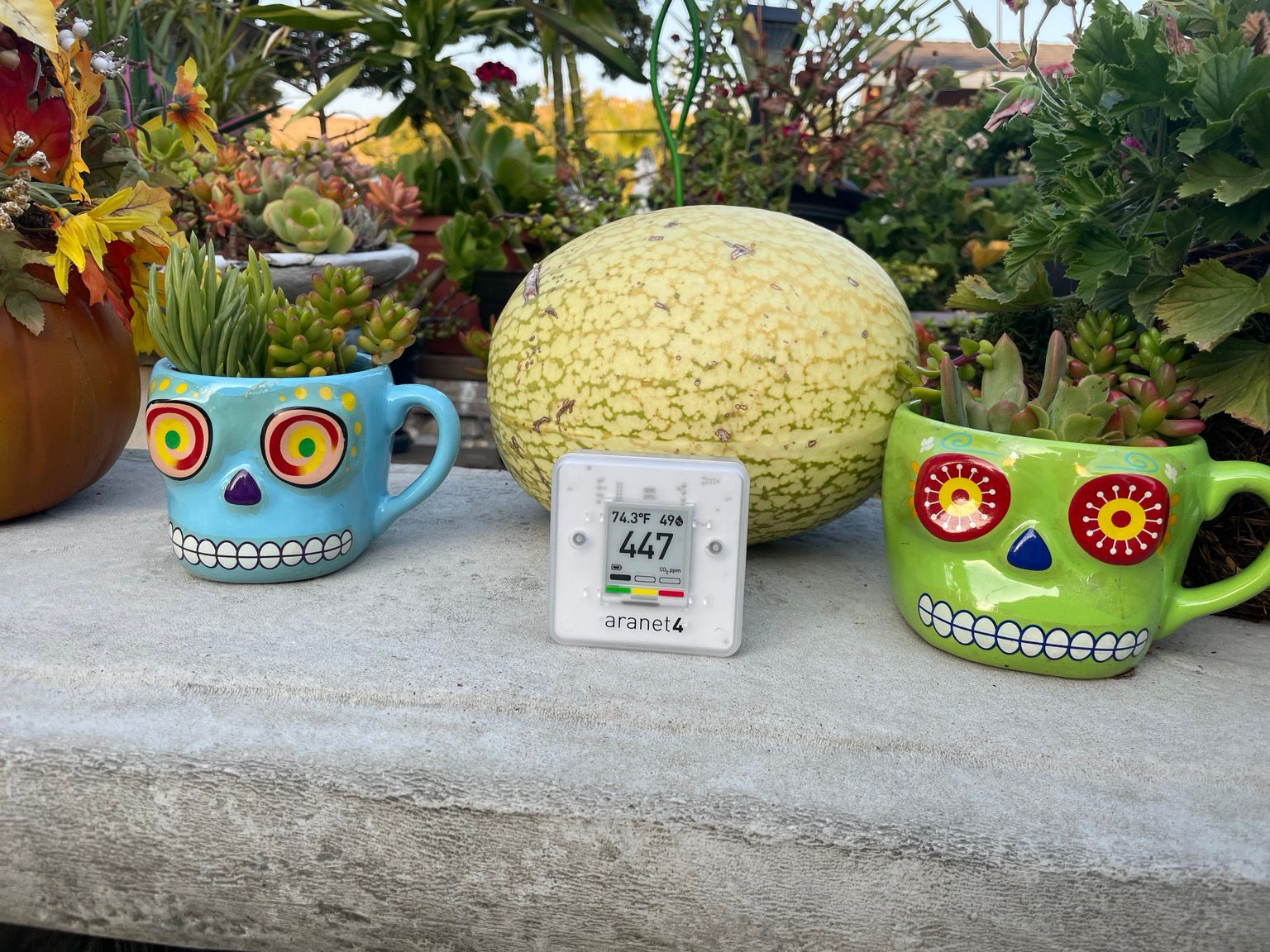 The Aranet4 would fit inside a zombie mug. 