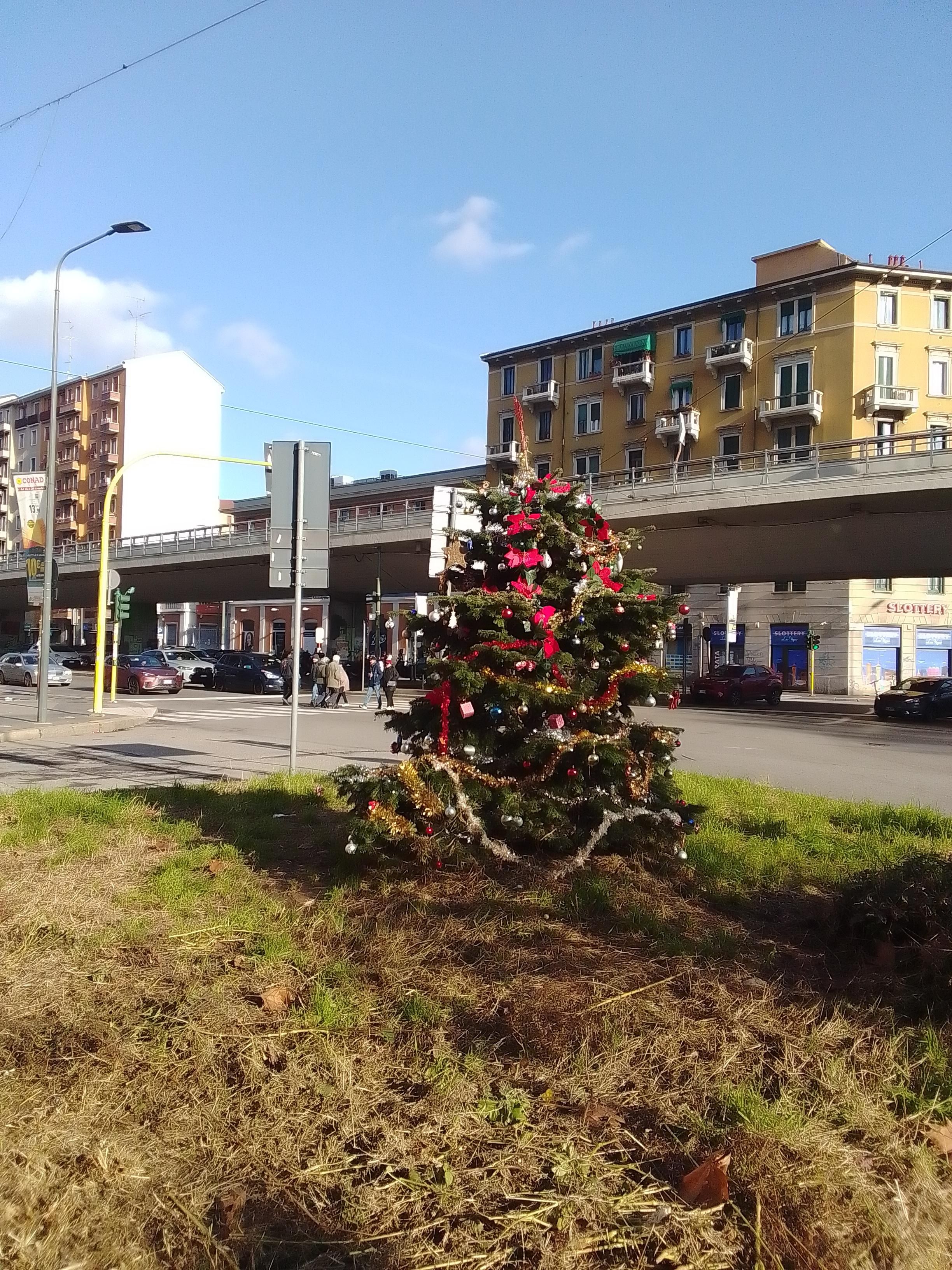 Foto che ritrae un albero di natale piuttosto malconcio in un'aiuola di erba prevalentemente secca in piazza Corvetto a Milano davanti a una strada, un cavalcavia e alcuni caseggiati sullo sfondo.
