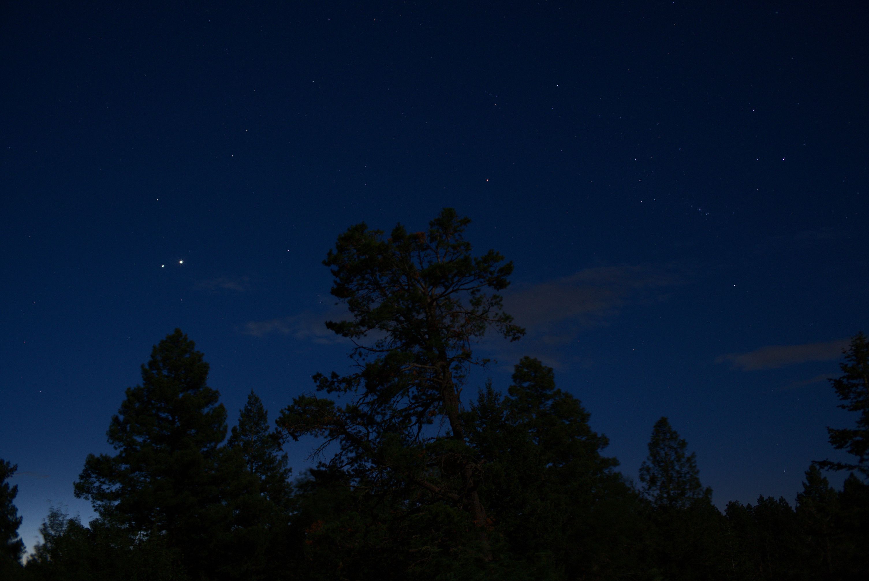 Fairly early in morning twilight. Many stars are still visible, but some light of dawn brightens the horizon, especially the lower left corner of the frame. The sky is very dark blue, except for a tiny hint of pink in the lower left.

The full moon shines a bit of detail on the foreground trees.

A couple small bands of clouds add some texture to the sky.

Orion is in the right half of the frame.