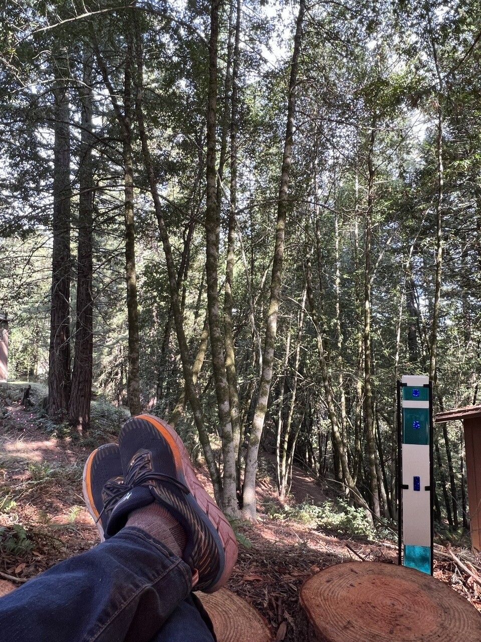 Feet kicked up on stumps of wood near glass art, with redwoods and bay trees in the background.