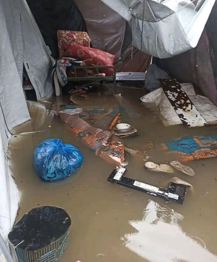 In #gaza the pain does not subside and the pain does not go away Cold tears our bodies inside the tents, hunger that suffocates the souls, and tents that do not protect us from the cold and rain
I hope that you will be a help to my homeless family and a reason for the warmth of my children and support me as a breadwinner of my family of 8 people, I hope you help me and support me 🙏🙏
#humanrights
#winter
#freepalestine
#humanitarianaid
#charity
#palestine
@aral
@riverbirchtree
@TomSwirly