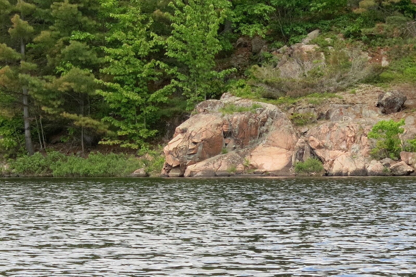A rocky granite shoreline. The rock resembles a sleeping bear, with his head resting on his front paws. 
Dense forest beside the rock.
