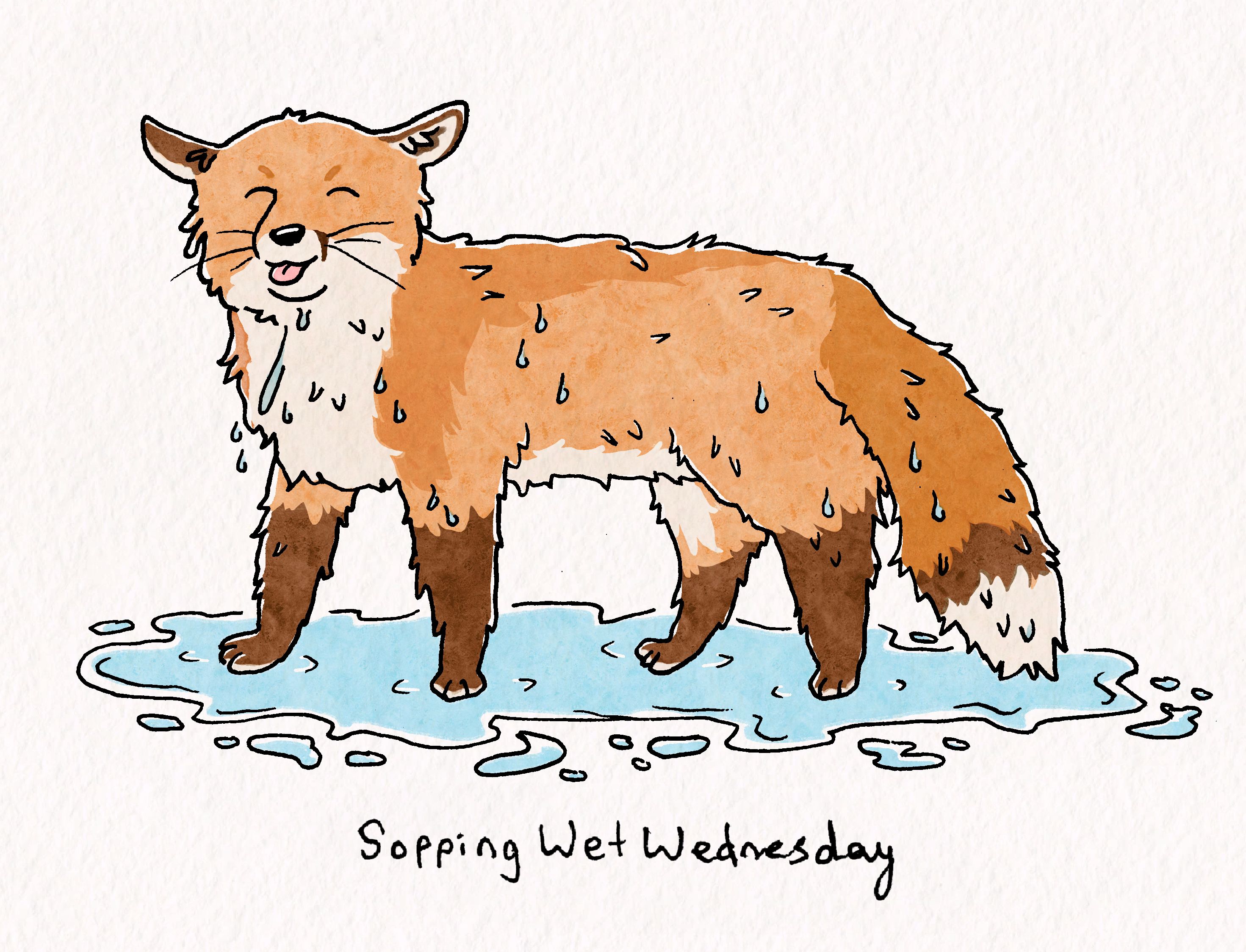 Furry art of a feral red fox sopping wet for celebrating #SoppingWetWednesdays