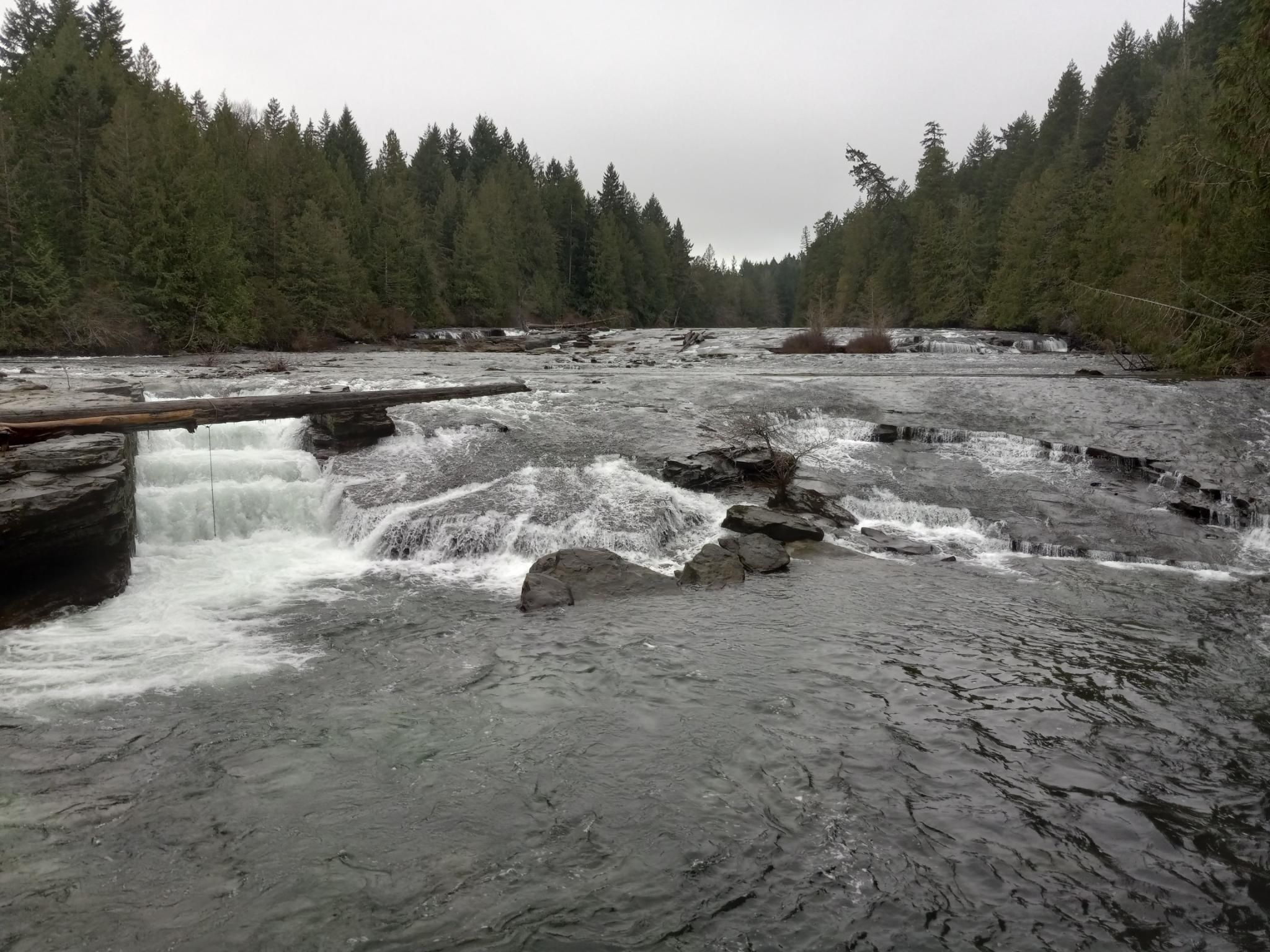 Looking upstream in a wide river, flowing fast over many rocks and logs.  On each side of the river are pine-covered hills.  The sky is cloudy.