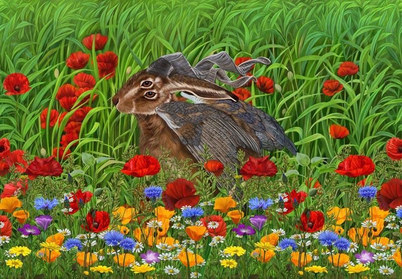 A hare with barn owl wings, ram horns and four eyes hides amongst tall grass and wild flowers.
