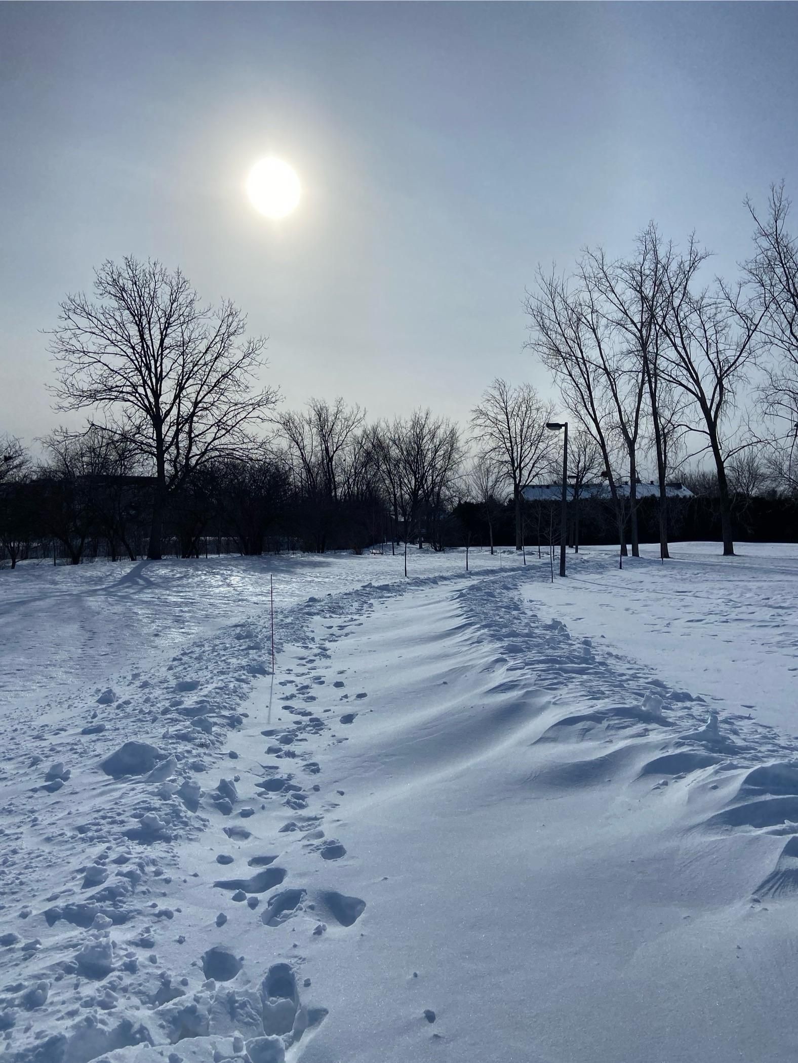 A snowy path curves through a field. The sun is bright in a hazy sky, and there are bare tree silhouettes in the distance. This is an asphalt path that was cleared after one snow storm, but not after the most recent snow storm. So we can see clearly where the path is, without a single trace of asphalt. The fresh and drifted snow slope down from the plowed mounds on the sides. 