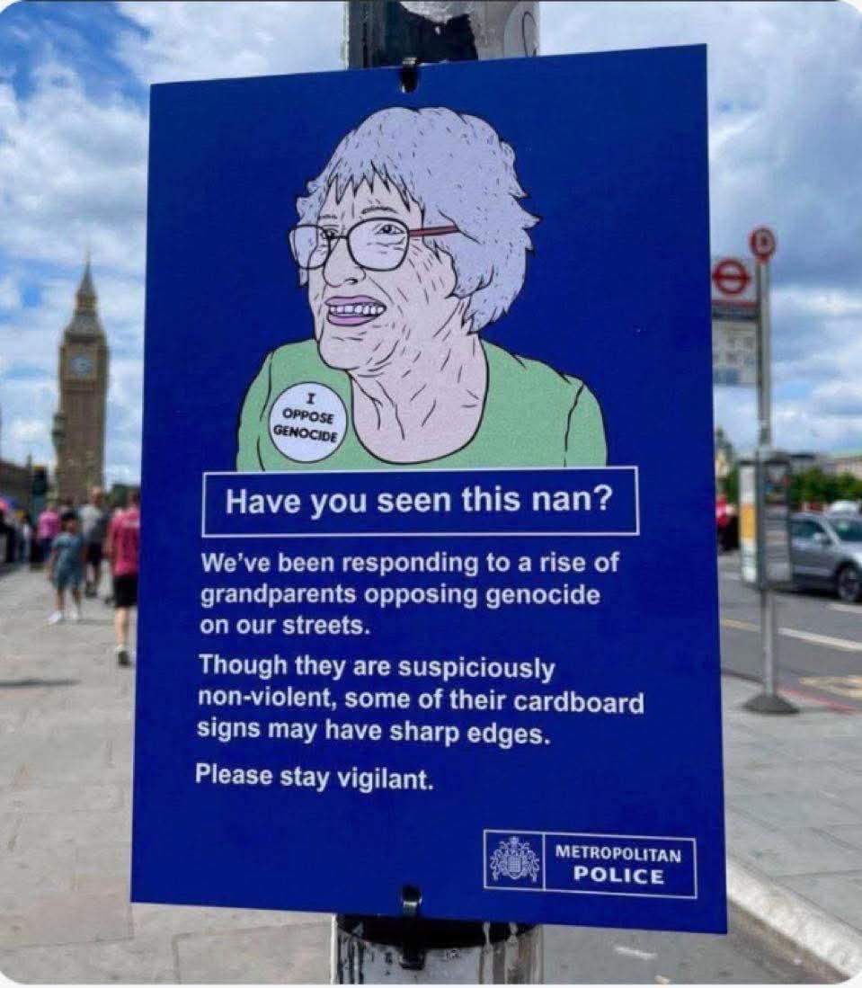 A meme turned into a placard attached to a lamppost on Westminster Bridge

The placard features an elderly cartoon lady underneath her is written. Have you seen this nan and several paragraphs of text lampooning a watch out dangerous person poster.