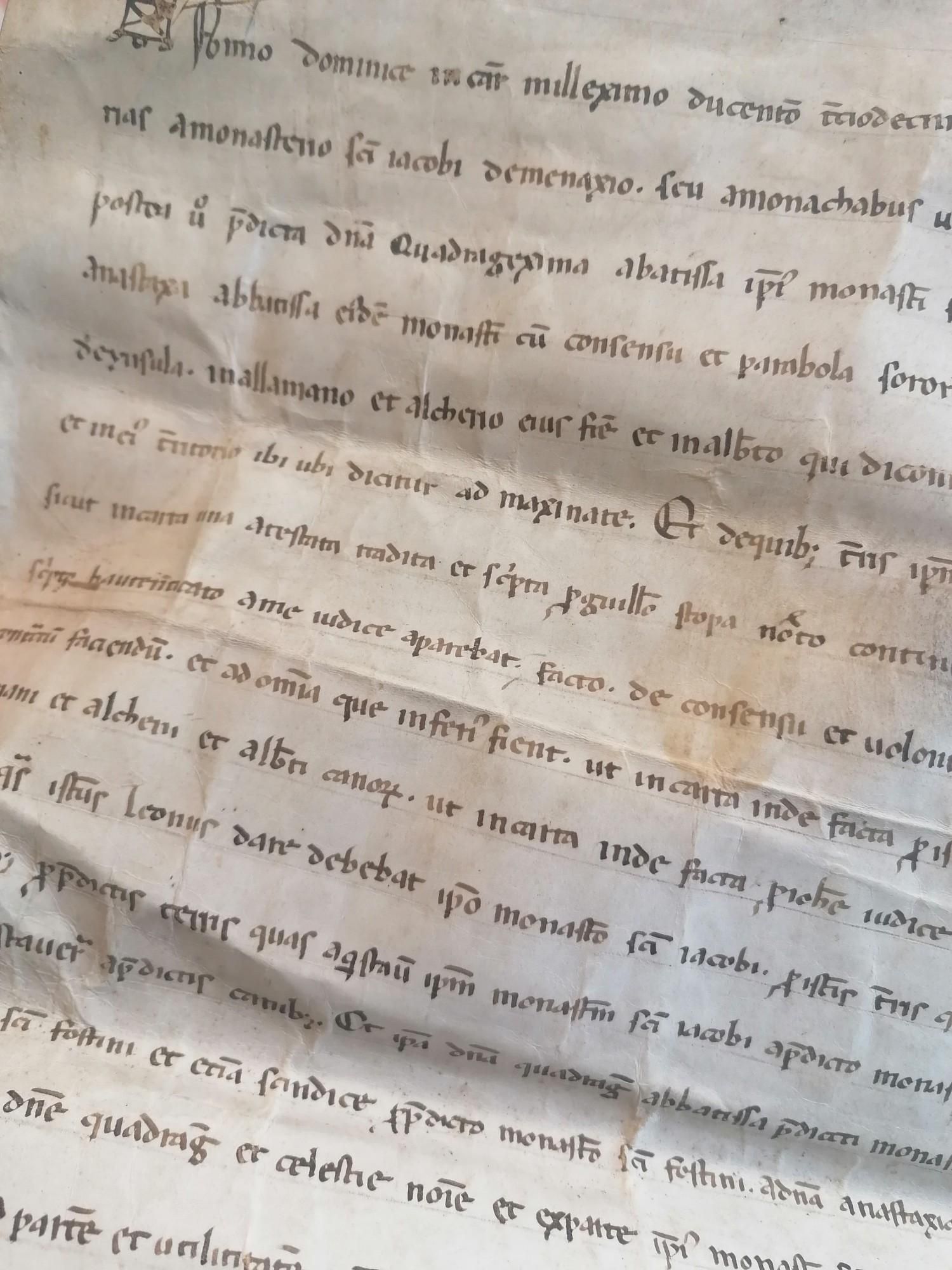 Parte della pergamena in cui si leggono chiaramente alcuni dei nomi riportati nel tooth