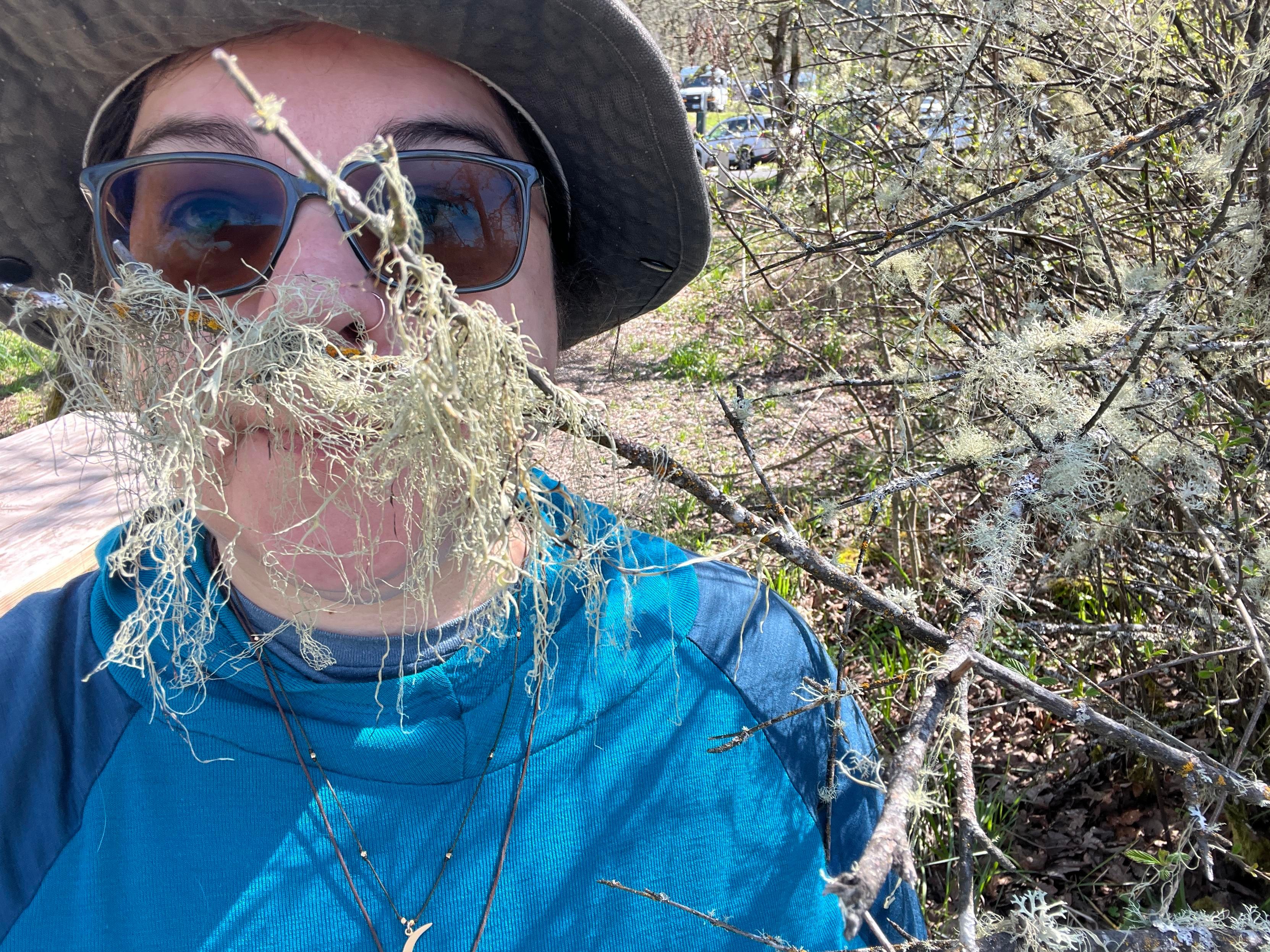 A very silly woman in a blue shirt standing outside at an arboretum with a branch across her face dripping with lichen, so it appears, if one stretches the imagination a very great deal, that she is mustachioed. 
