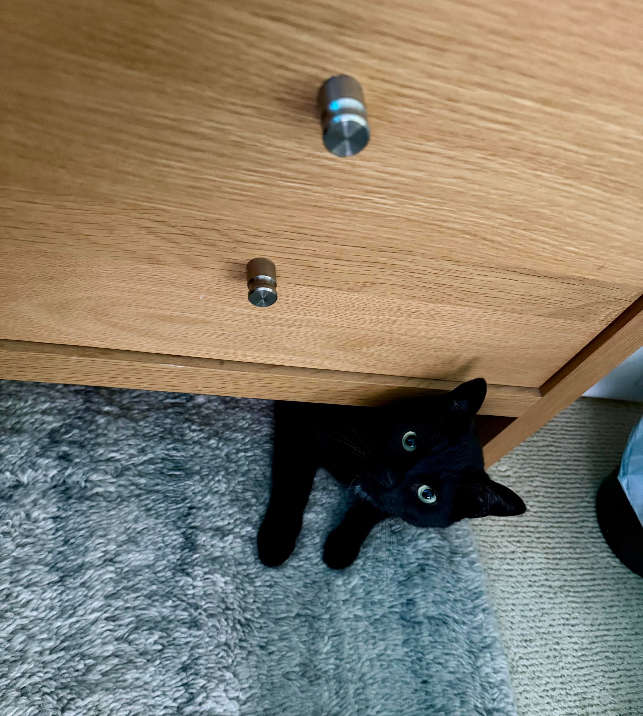 Black cat, mostly under a bedside table, front paws and head poking out, staring at the camera.