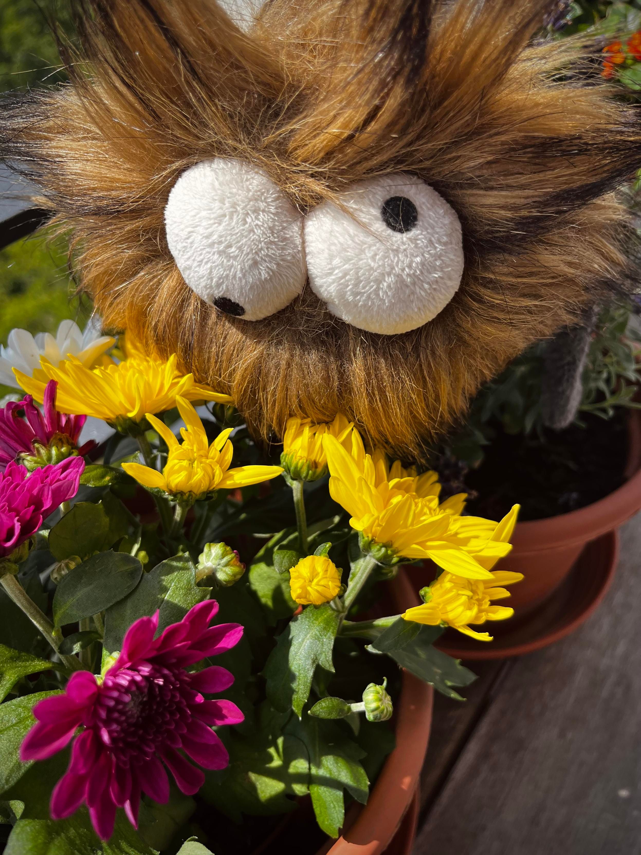 English: A playful creature plush mosquito with large eyes peeks out from a colorful arrangement of flowers, including yellow and pink blooms, in terracotta pots. 

Deutsch: Eine verspielte Plüschmücke mit großen Augen schaut aus einem bunten Blumenarrangement, darunter gelbe und rosa Blüten in Terrakotta-Töpfen.