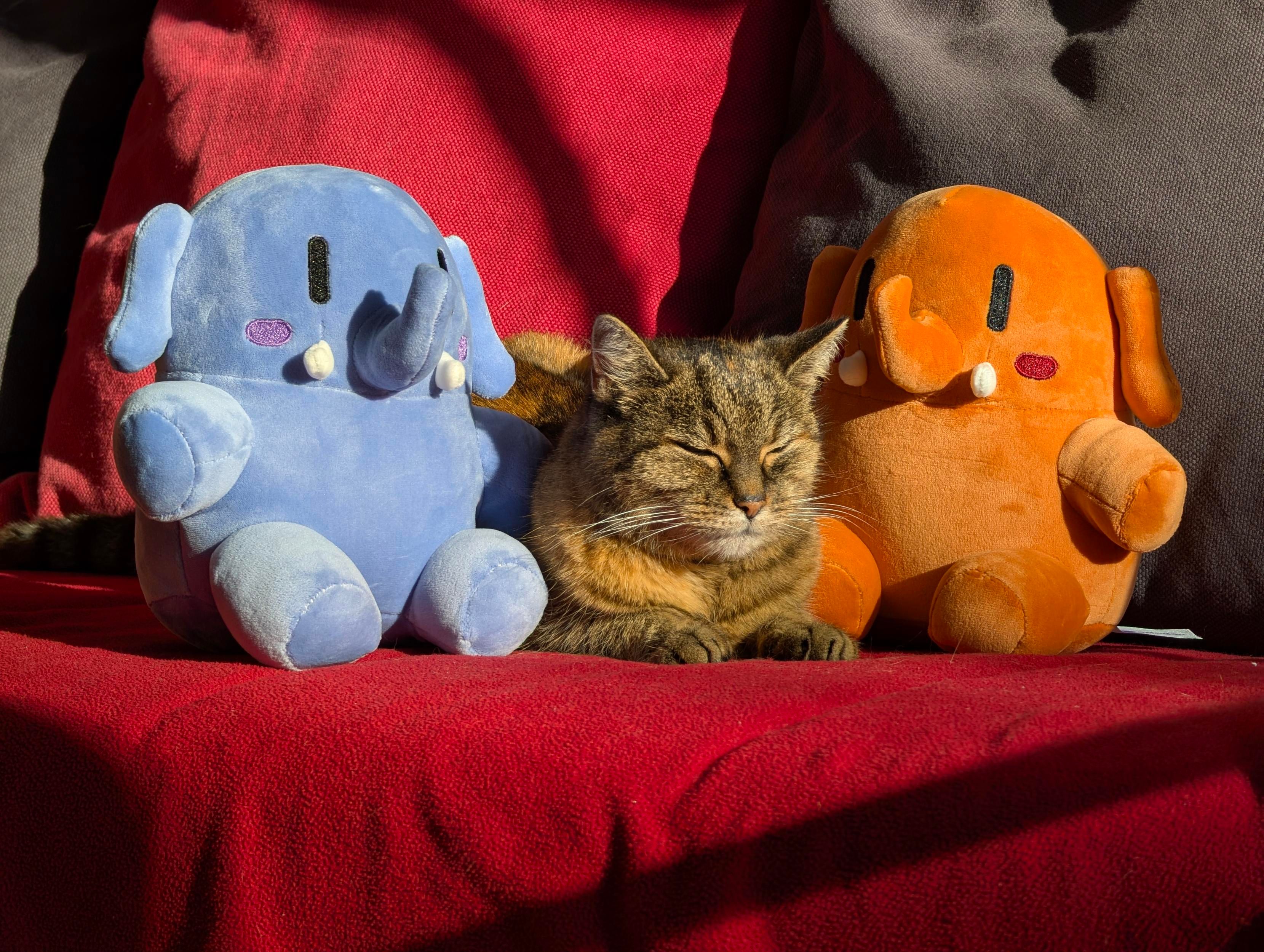 Closeup of a turquoiseshell cat with closed eyes. She lies on a sofa which is covered with a red blanket. Two Plushtodons (Mastodon Plushies) are on each of her side, a blue one on the left and an orange one on the right. It looks like they're petting her back while looking very cute. Sun is shining directly on them, giving the image a warm look with nice shadows and contrast.