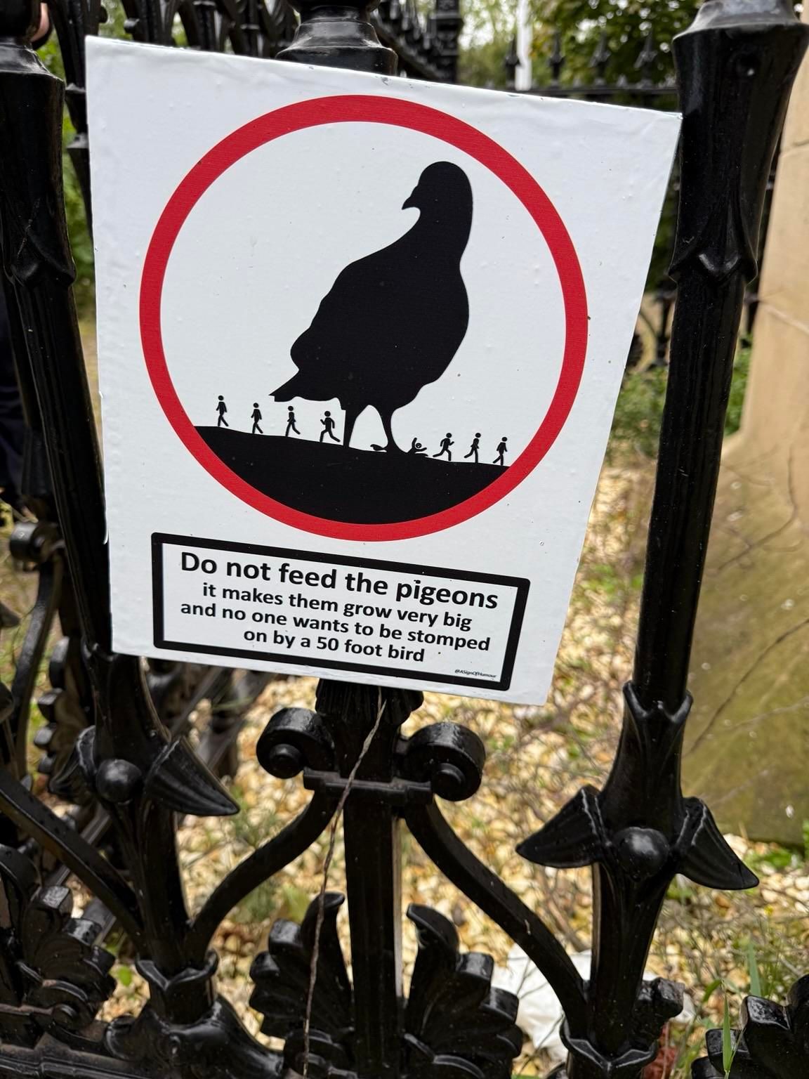 A warning sign featuring a large silhouette of a pigeon inside a red circle, with smaller silhouettes of people walking below. The text advises against feeding pigeons, humorously stating it can make them grow very large and warning about the potential danger of attack