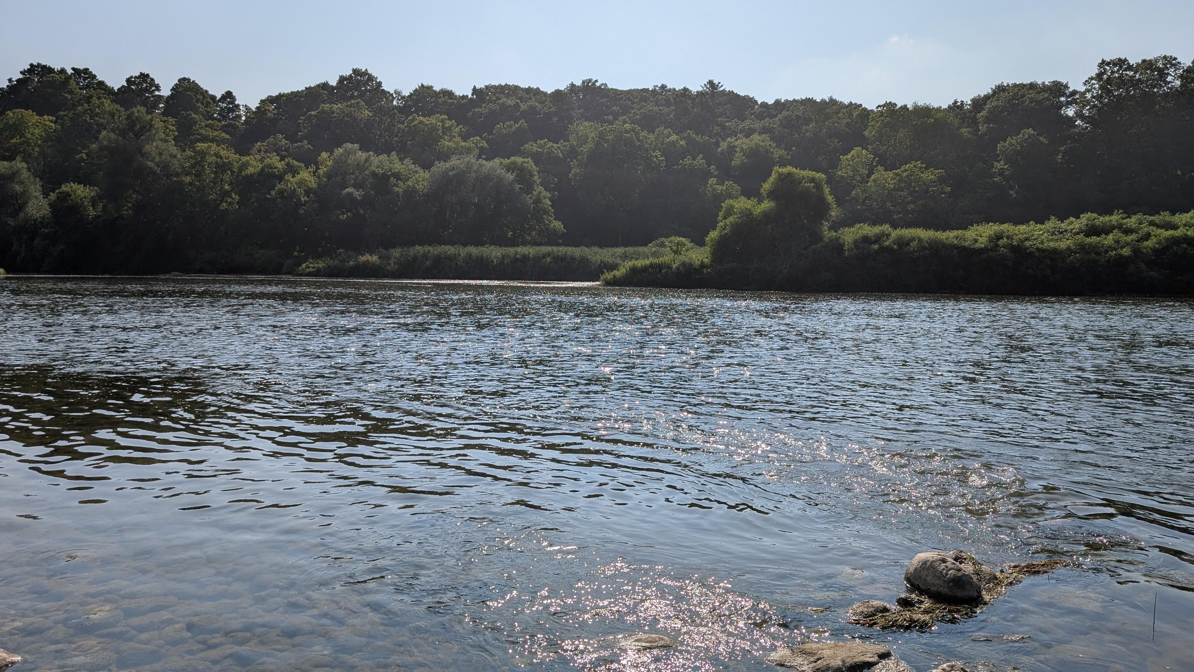 A sparkling river, with rocks creating ripples. Blue skies line the top, and big trees and tall grass line the background