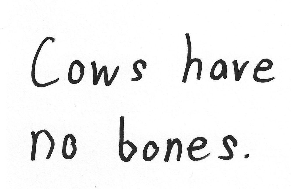 Cows have
no bones.