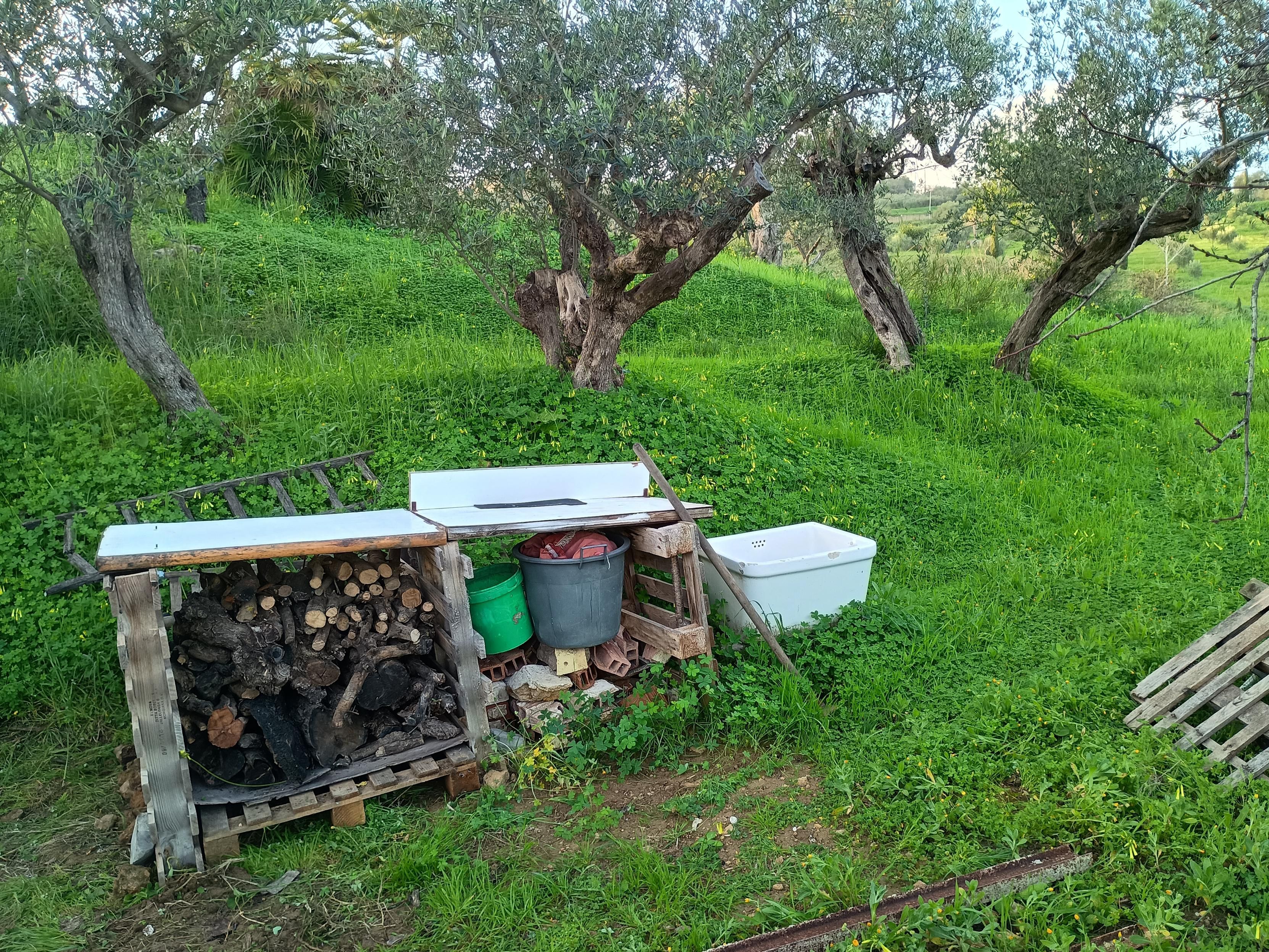 Foto in campagna con molto verde, degli ulivi molto vecchi su di un muretto in pietra (coperto dal trifoglio). In primo piano una piccola legnaia fatta con pedane e altro materiale riciclato. Si possono intravedere un lavadino poggiato a terra, un mastello e un secchio, mattoni e altro materiale riciclato