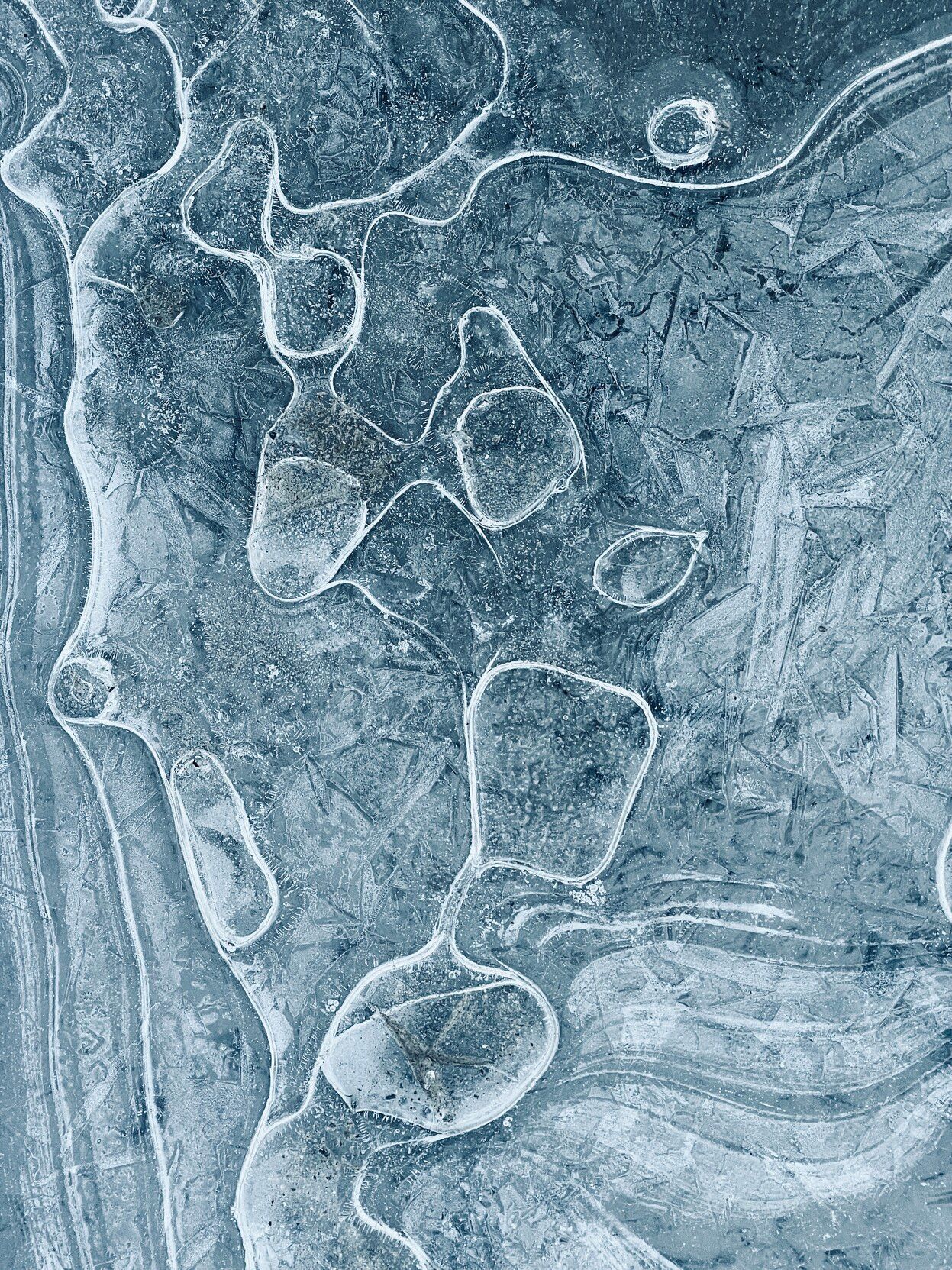 A frozen puddle on the path, with abstract patterns, one of the few that weren’t stepped on #IceVandalism Edited all cold and blue