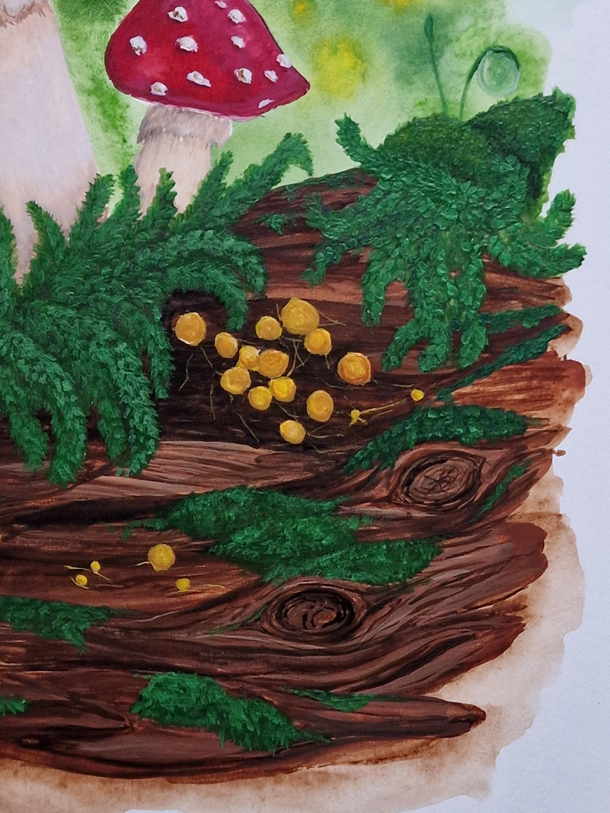 Slime mold, mosses, and details of the log