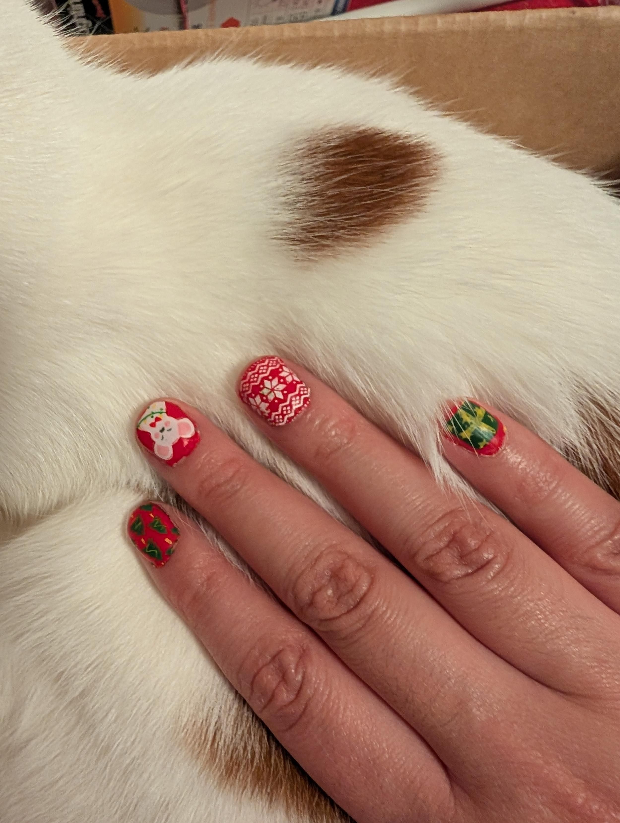 4 fingers resting against the fur of a white and orange cat. The nails have different artwork in them, Christmas trees, Christmas mouse, Christmas Sweater pattern, and a wrapped gift