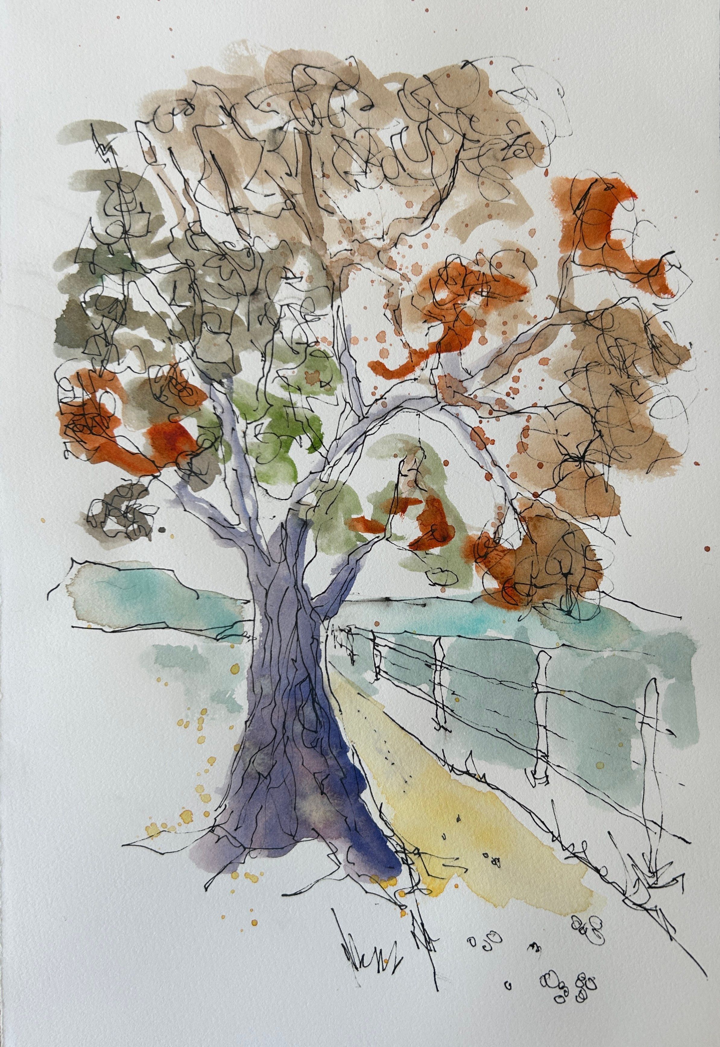Sketch of a tree in Lane