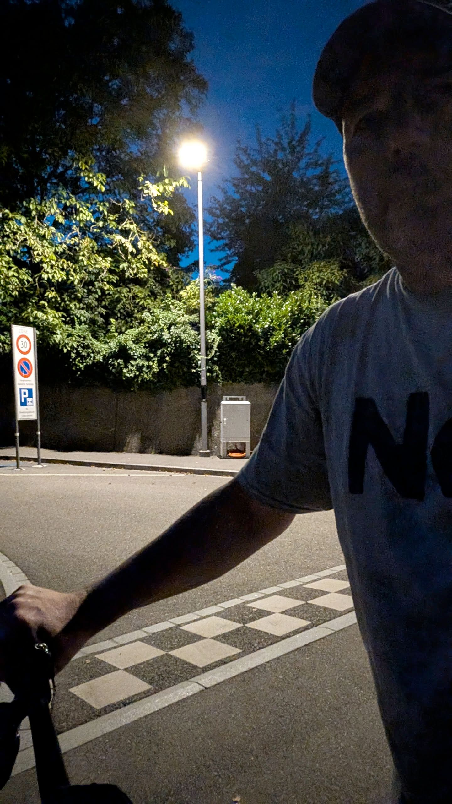 Badly lit selfie. I am pushing my bike on a road, with a street lamp on the other side. The sky is almost dark, but street and some bushes are lit. There is a bit of a pattern on the road.