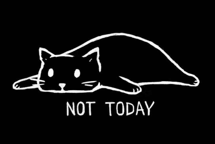 Gattino spalmato orizzontalmente con in basso la scritta NOT TODAY