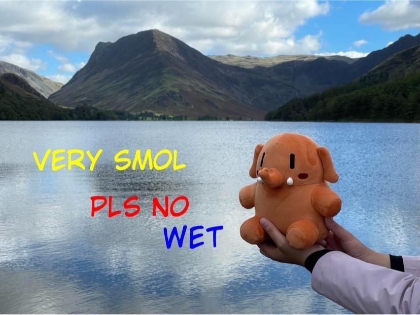 A small apricot colored Mastodon stuffed toy being held up in front of Buttermere. On the left, in comic font it says, very smol in yellow, pls no in red and wet in blue.