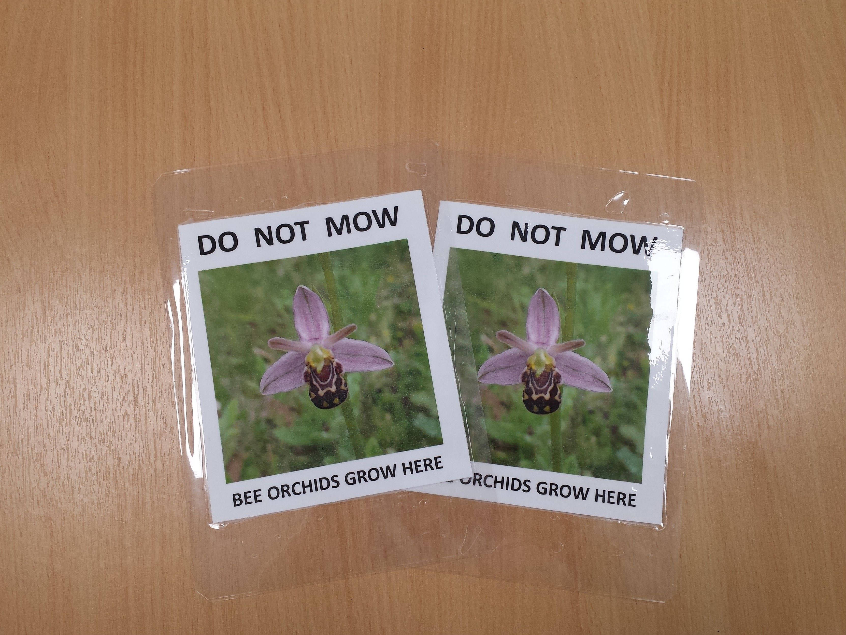 Photo of two laminated posters. "DO NOT MOW. BEE ORCHIDS GROW HERE." With a photo of a bee orchid flower.