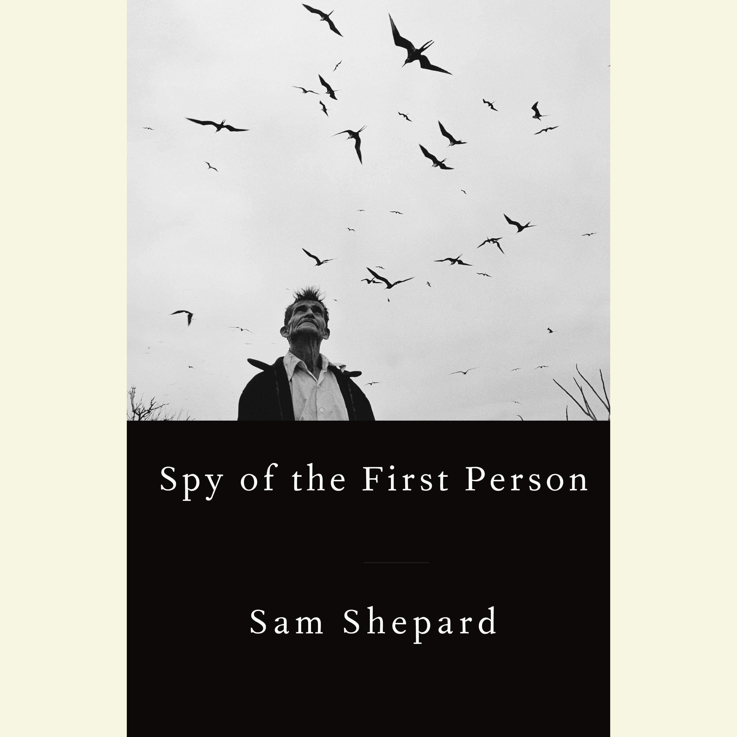An old man looks to a sky filled with birds on the cover. 