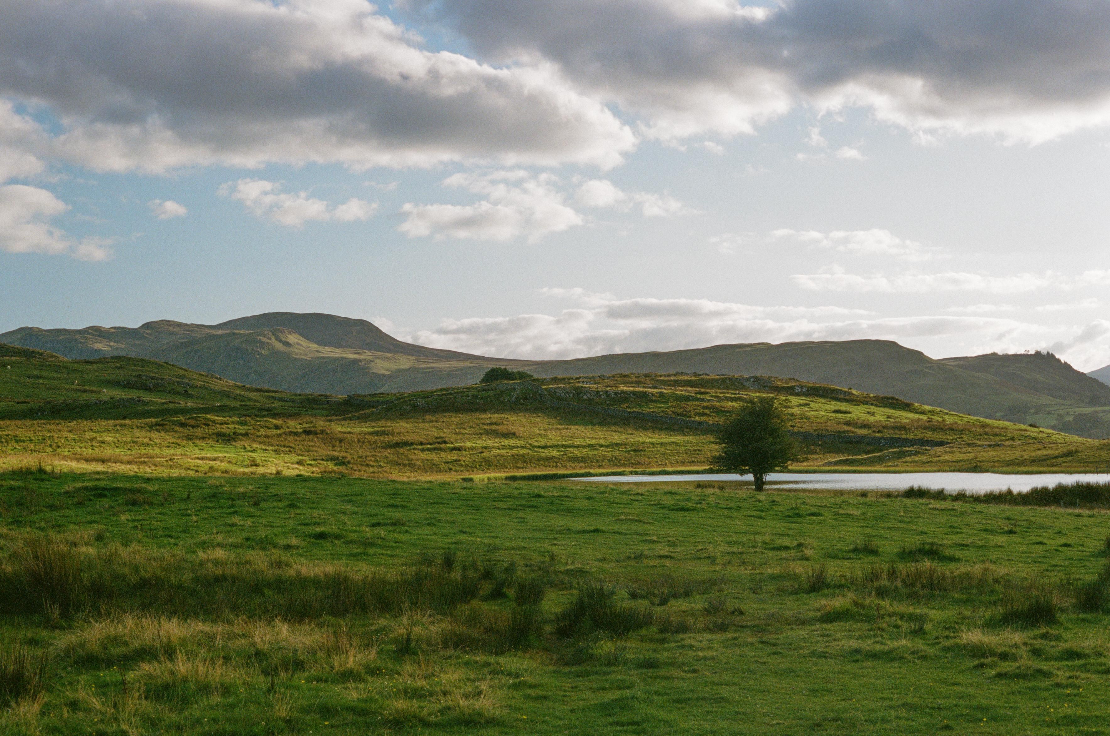 A green landscape illuminated by the setting sun. On one side, a tarn, in front of it, a single tree. Behind it, a dry-stone wall. In the distance, mountains.