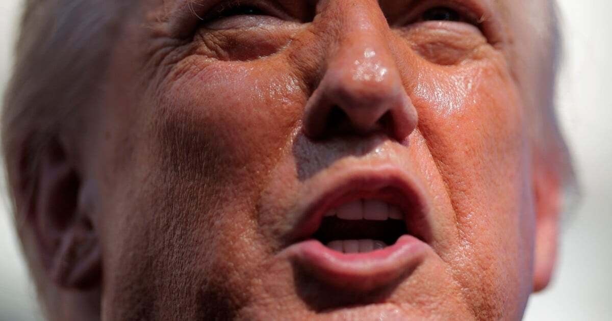 Picture of Donald Trump's face with a fish-style open mouth.