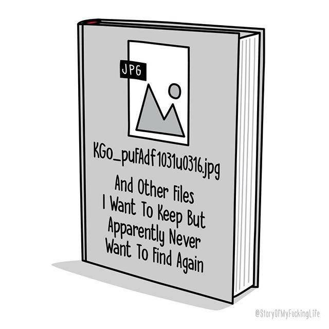 A cartoon of a book titled "And Other Files I Want To Keep But Apparently Never Want To Find Again"

The book cover features a generic JPG image file icon.

The filename shown is "KGo_pufAdf1031u0316.jpg".
