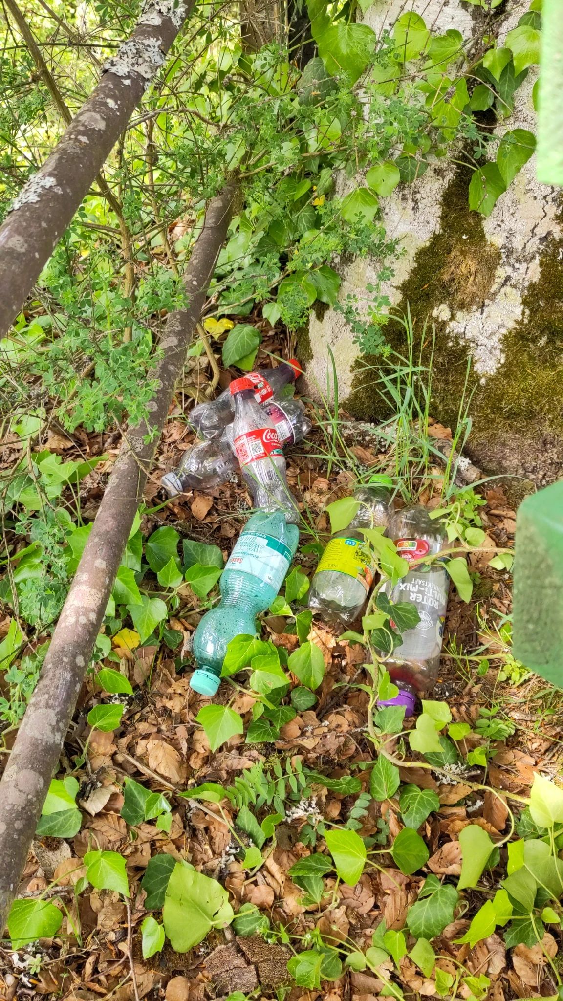 Leere Kunststoff-Getränkeflaschen liegen hinter der Sitzbank auf der Burgruine Unter-Falkenstein