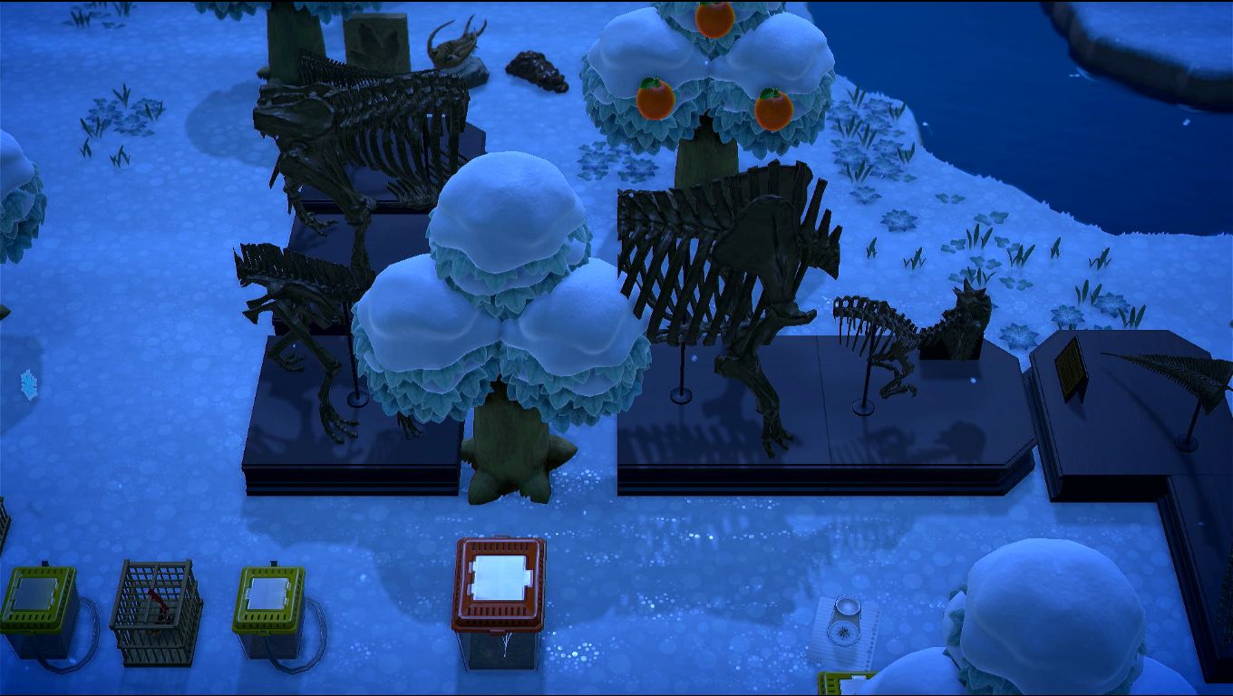 Foto sul retro del museo, vari fossili sparsi più incompleti, e l'altra roba ancora per terra