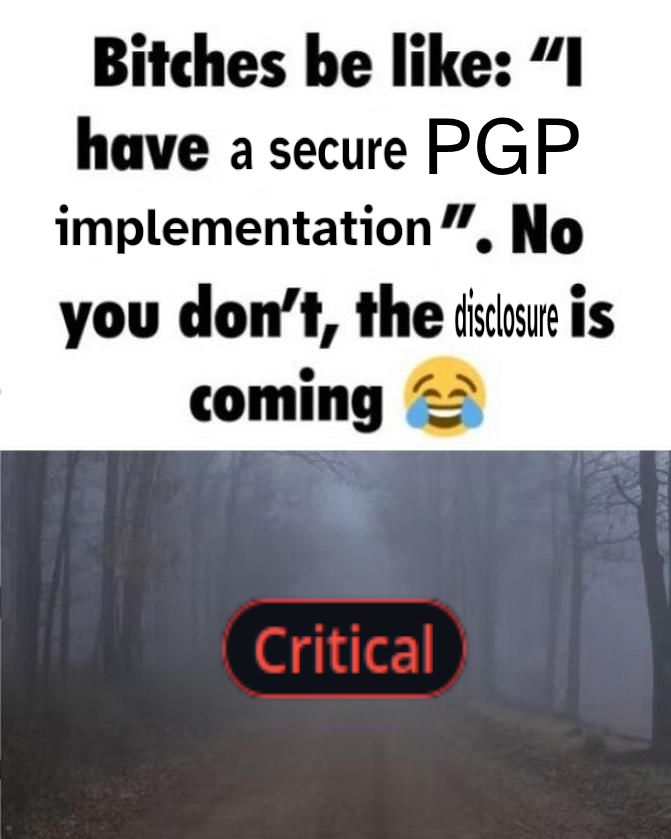 bitches be like "i have a secure PGP implementation". no you don't, the disclosure is coming (laughing crying emoji)
(picture of a foggy forest with a github critical badge)