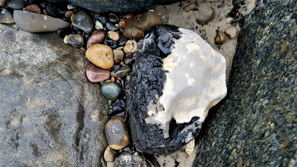 Short version: a rock that is half black and half white. Fuller description: Looking down at a rock not the size of a large boulder. A rock about the size of, say, a rugby ball. It is dark wet with rain, lying on a winter beach in Skagen, Denmark. Small stones in lighter greens and beiges are nestled around it at one edge. Larger uninteresting rocks in dull blacks and greys are on either side. The excellent rock looks like two rocks fused together. The left half is jet black and has a rippling texture that reminds me of the crisp packets we shrank in the oven to amuse ourselves as kids. The right half is bright white with patches of grey and very smooth. The join between the two halves is invisibly smooth. The rock looks alien to me. Obviously, I didn’t touch it. I assume there were faeries or trolls nearby. 