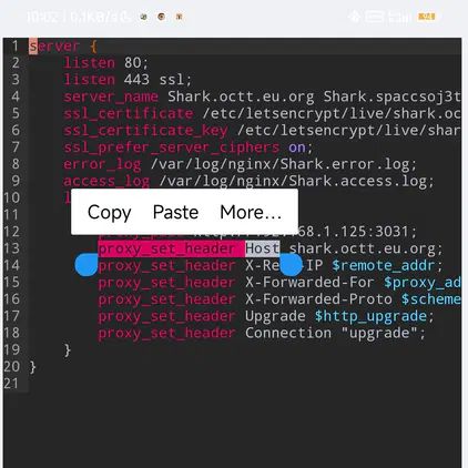 Nginx config:
1 server {                                           2     listen 80;                                     3     listen 443 ssl;                                4     server_name Shark.octt.eu.org Shark.spaccsoj3t 5     ssl_certificate /etc/letsencrypt/live/shark.oc 6     ssl_certificate_key /etc/letsencrypt/live/shar 7     ssl_prefer_server_ciphers on;                  8     error_log /var/log/nginx/Shark.error.log;      9     access_log /var/log/nginx/Shark.access.log;   10     location / {                                  11         proxy_http_version 1.1;                   12         proxy_pass http://192.168.1.125:3031;     13         proxy_set_header Host shark.octt.eu.org;  14         proxy_set_header X-Real-IP $remote_addr;  15         proxy_set_header X-Forwarded-For $proxy_ad16         proxy_set_header X-Forwarded-Proto $scheme17         proxy_set_header Upgrade $http_upgrade;
18         proxy_set_header Connection "upgrade";
19     }
20 }
