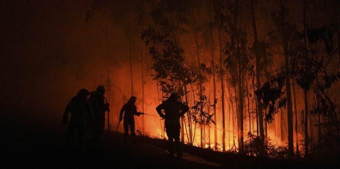 Immagine relativa all'articolo