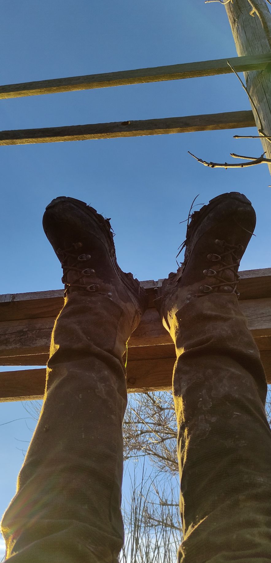 i miei piedi verso il cielo, appoggiati alla struttura di legno sulla quale sono sdraiata 