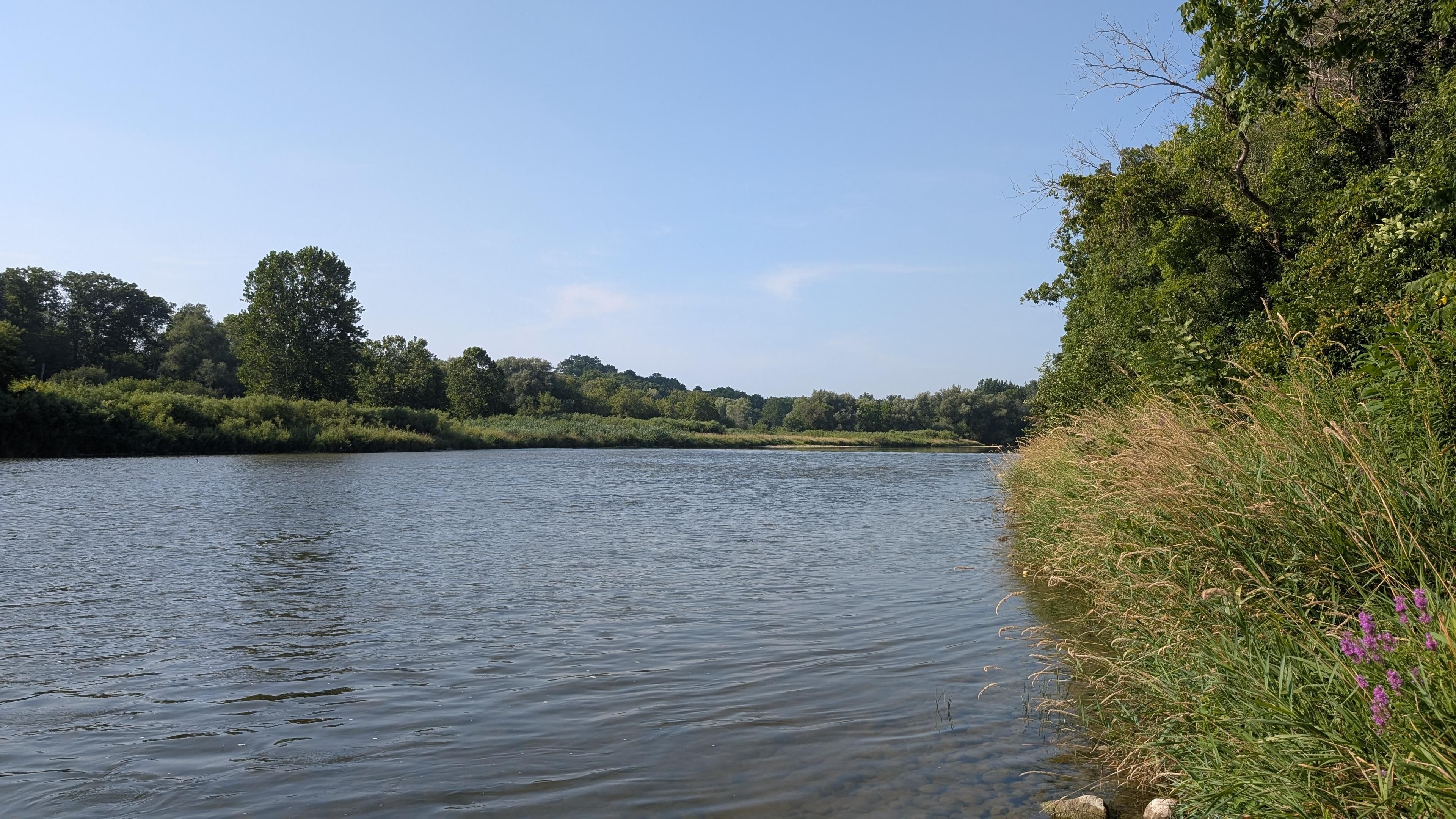 The long Grand river stretches in to the background. Across the river is tall grass and trees, and more grass and trees line the right side. Blue skies are on top