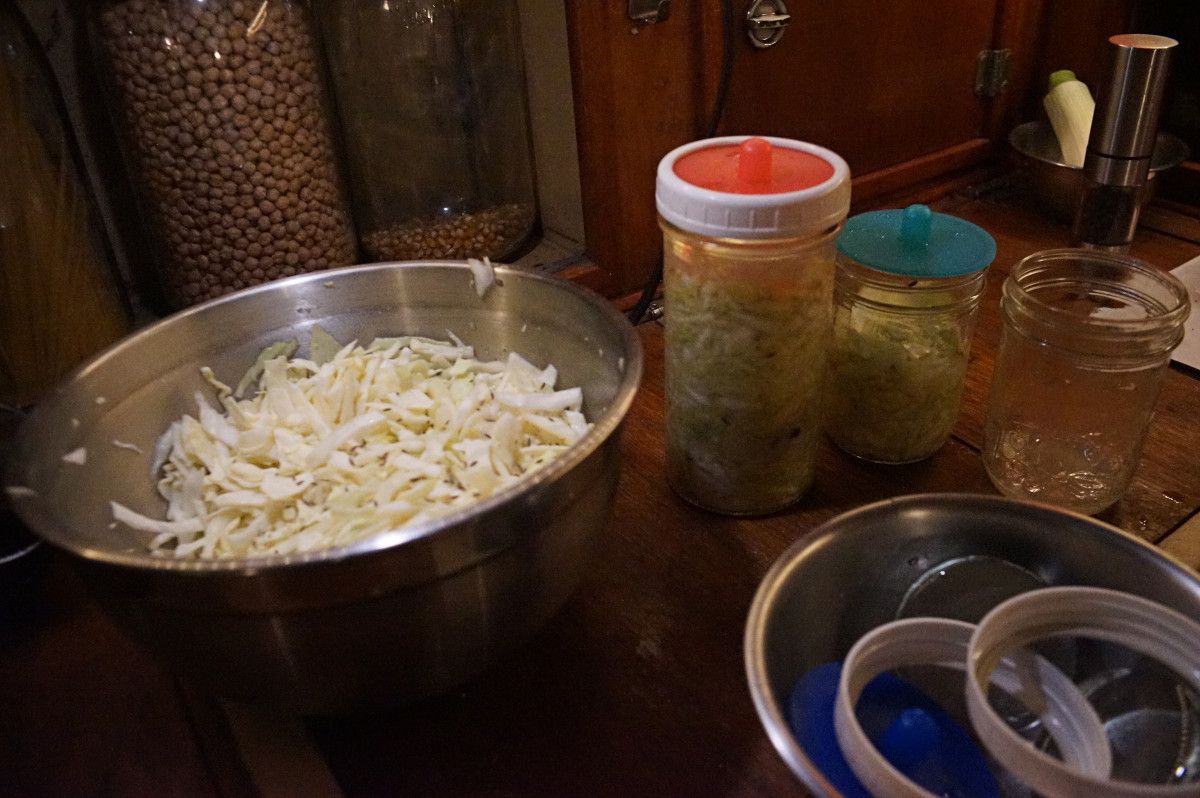 a photo showing green cabbage being lacto-fermented. A big metal bowl is full of shredded and salted cabbage, beside it is one full tall jar of sauerkraut, next to it is a 500 ml jar that is half full and another that is empty, waiting to be filled. In the foreground is a bowl with unused pickle pipes and lids.