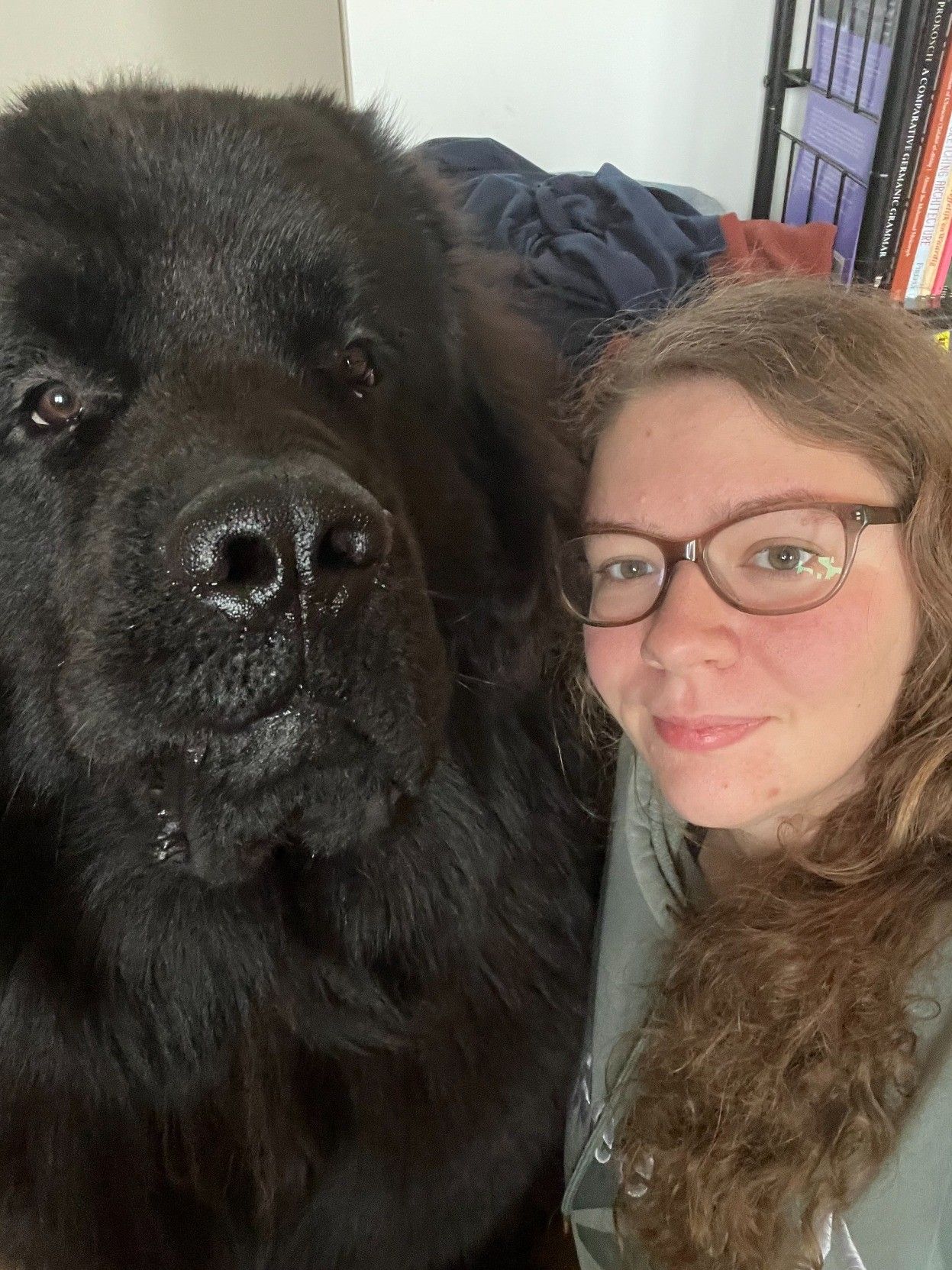 photo of Odin the black-haired nine-month-old newfie sitting next to me, the cute girl in glasses. His head is like three times as big as mine 