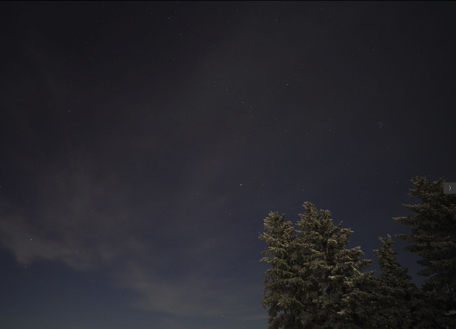 A nighttime scene showing some frosty spruce trees and stars mostly obscured by high clouds.