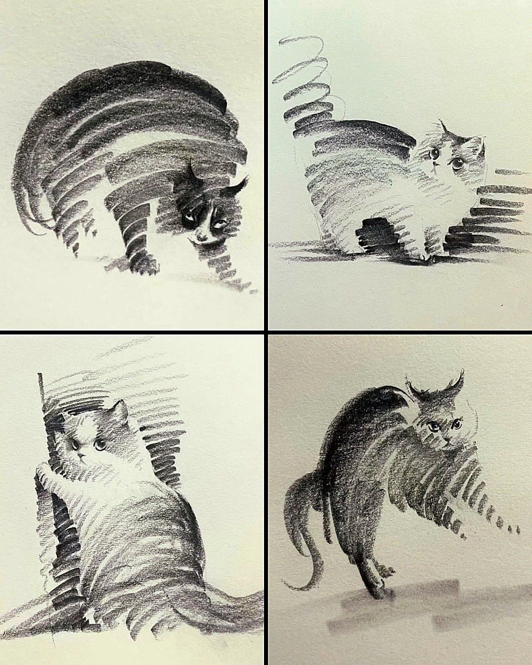 dessins de chats en mouvement