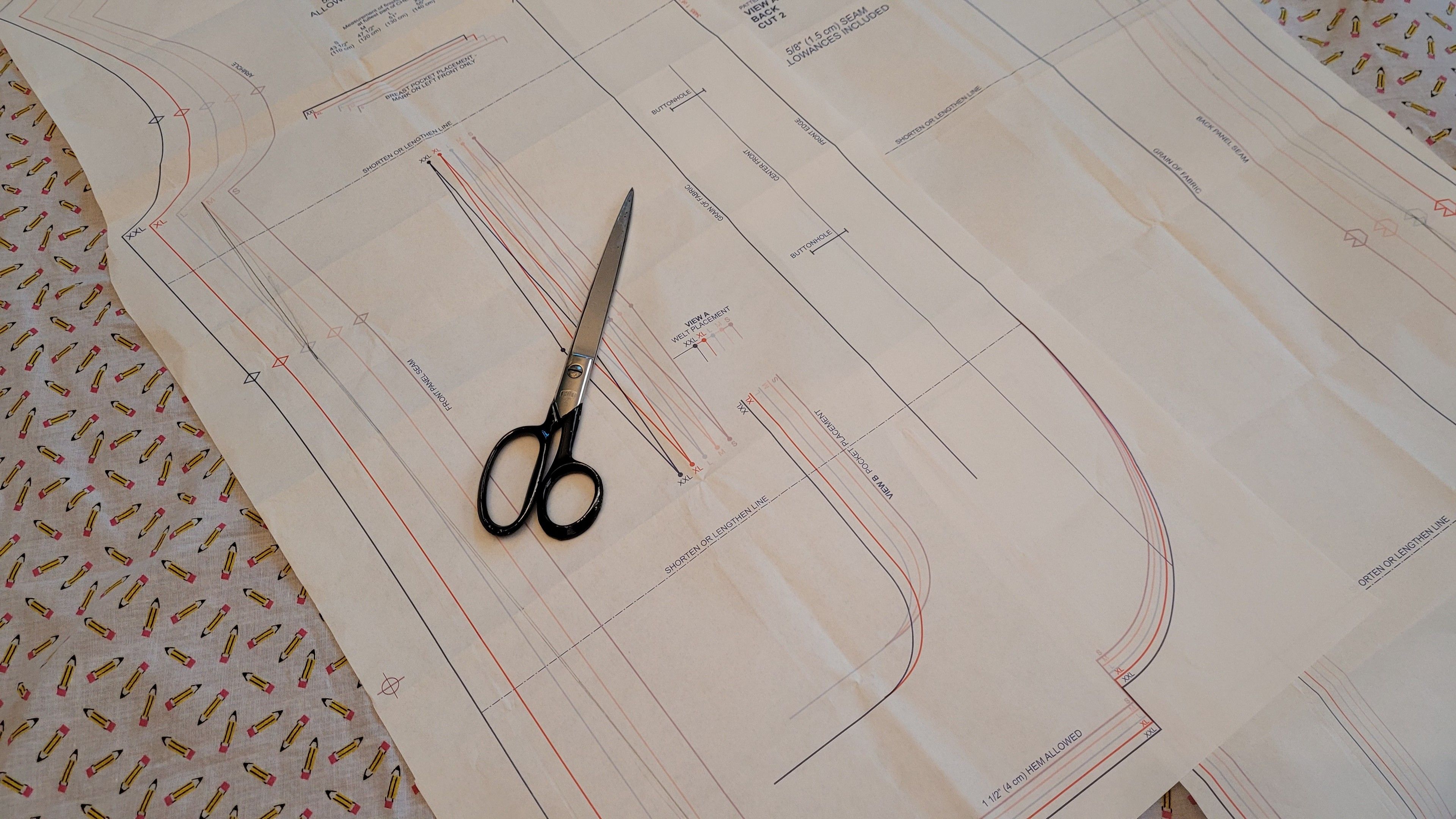 Scissors and pattern