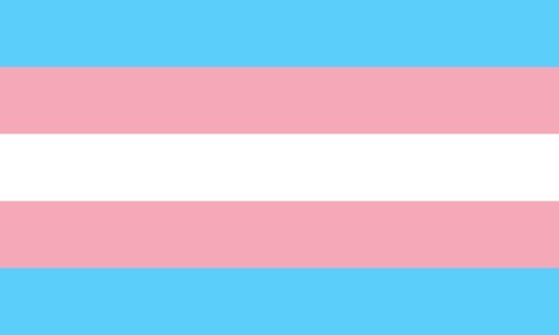 the transgender pride flag. 5 rectangles of equal width are coloured from top to bottom as: blue, pink, white, pink, blue. 
very vertically symmetrical.