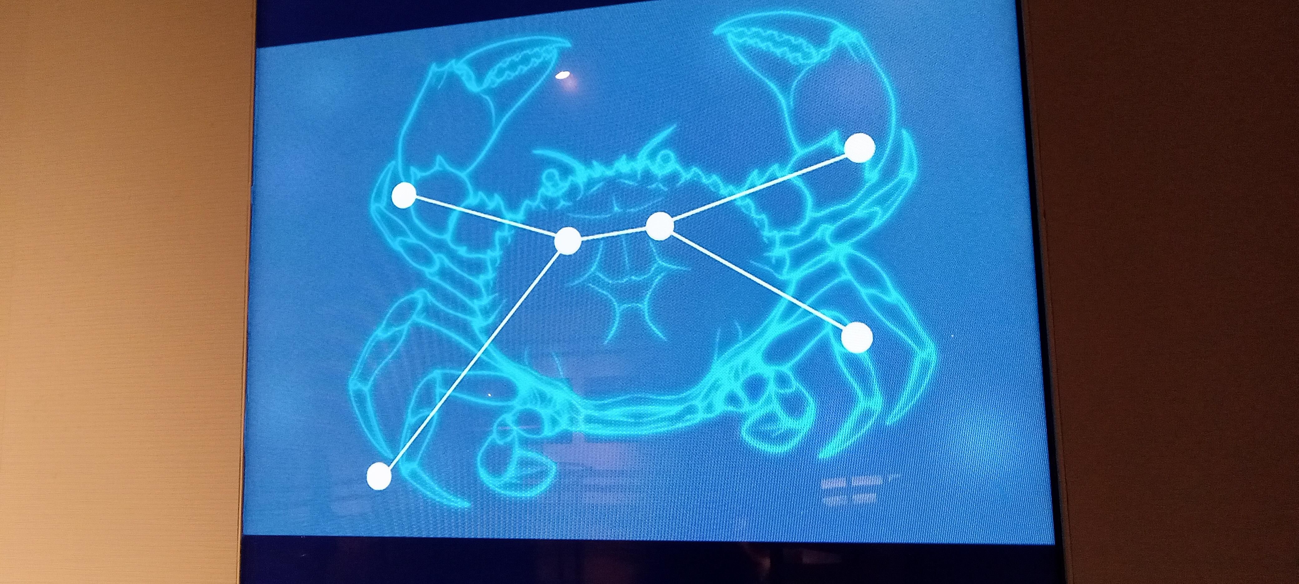 Photo of the cancer constellation at an exhibit. 6 stars superimposed on top of a drawing of a crab