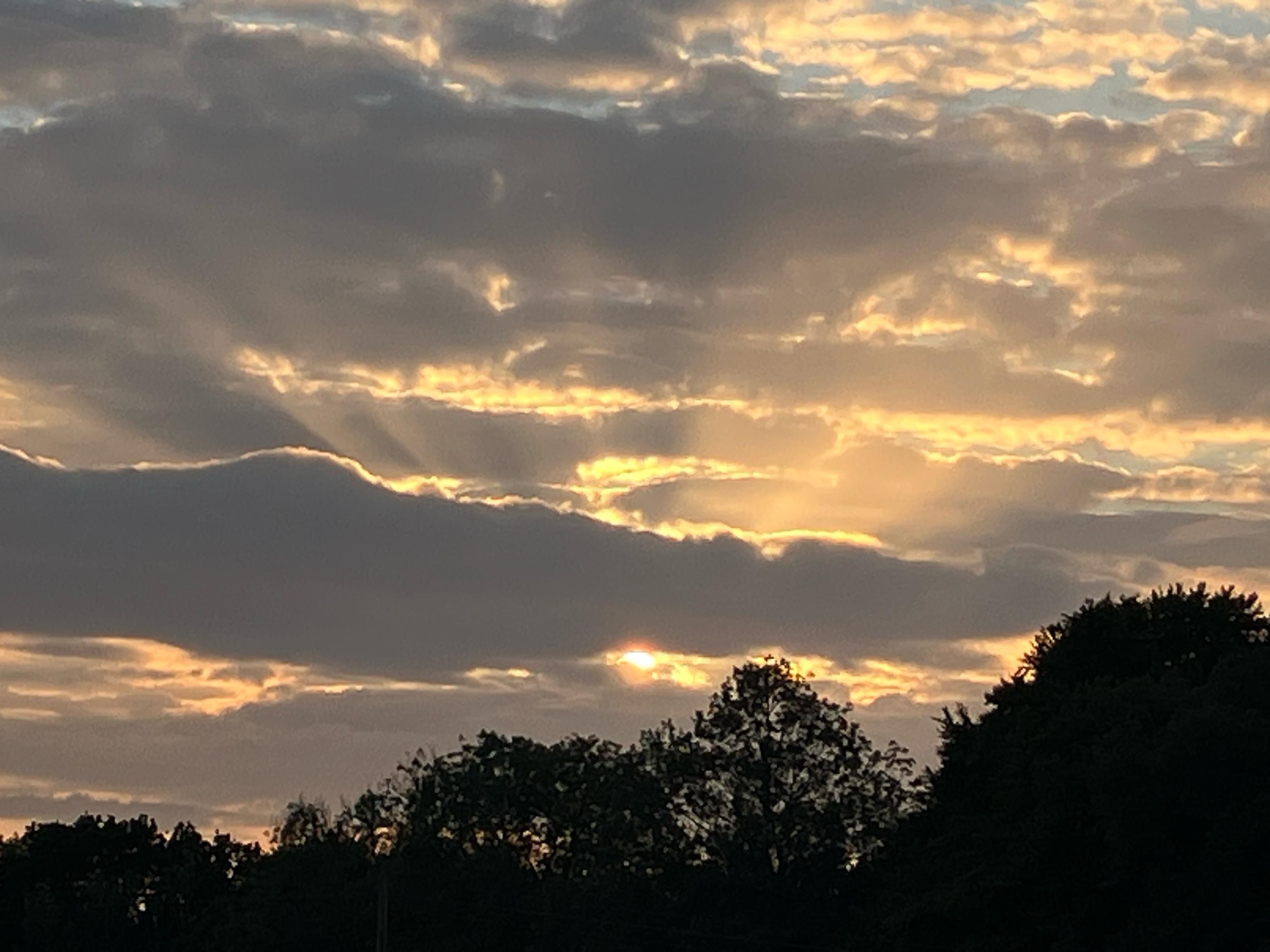 Photo of the setting sun peeking from behind layers of cloud above the silhouette of a tree line. Golden sun beams radiate upwards illuminating clouds above. Towards the top of the frame is a thin sliver of blue sky.
