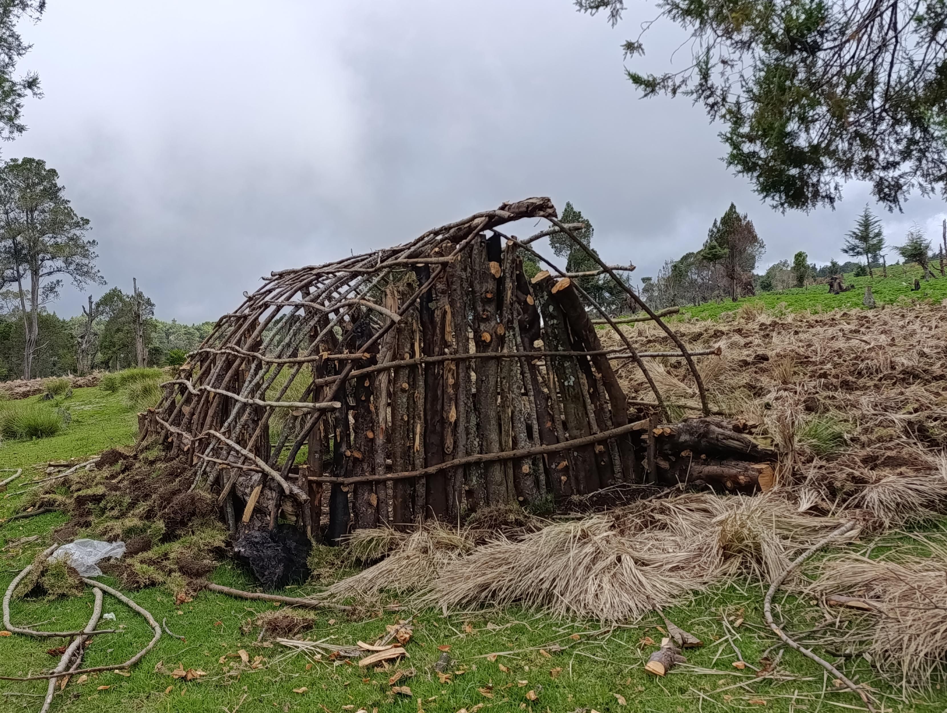 "Kithunu" a wooden forest house under construction meant for people who guard crops against wild animals 