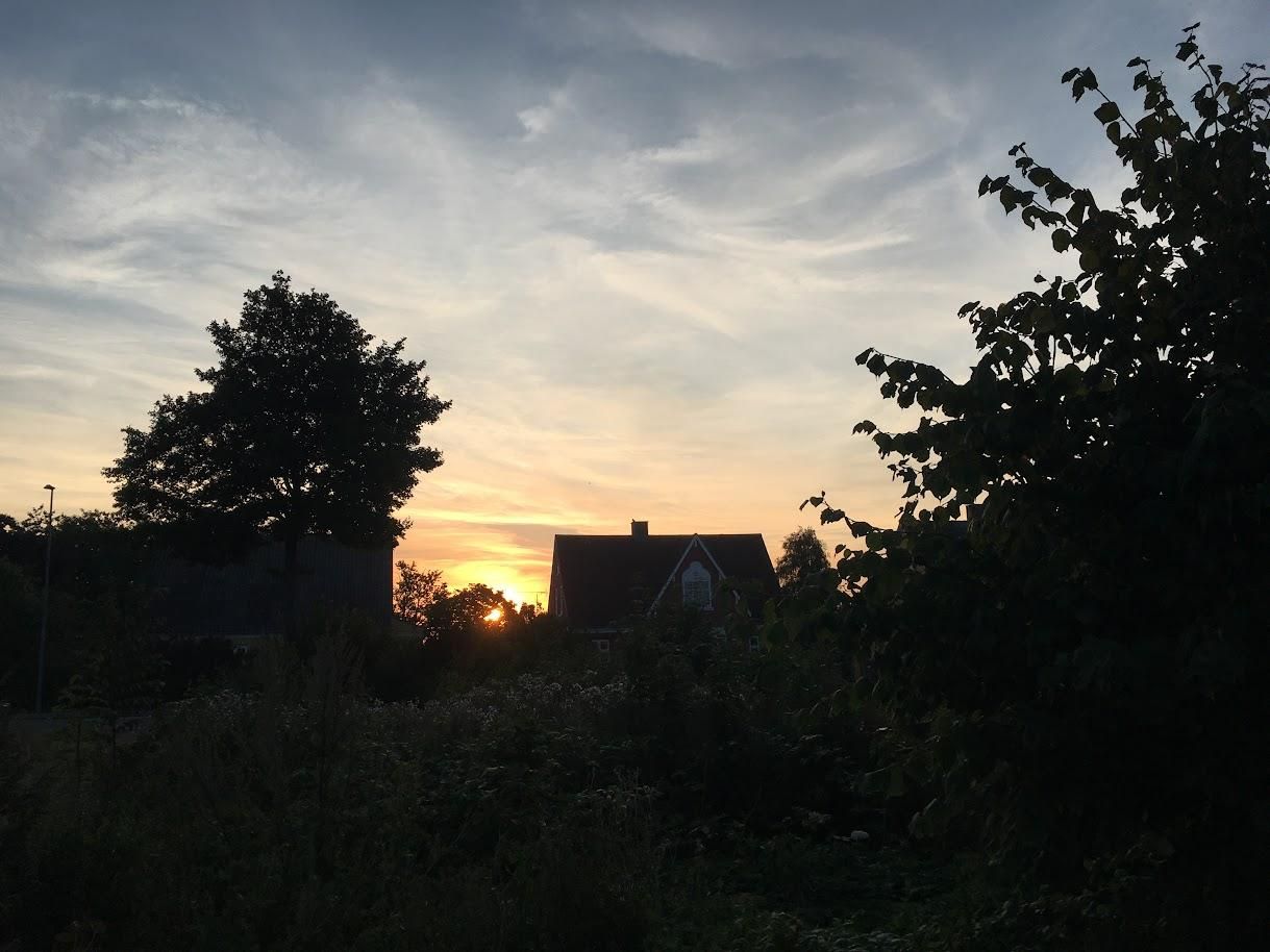 Sunrise between two houses in the village, with the messiest part of our front garden almost black in the front, and a sky of thin, whispery clouds.
